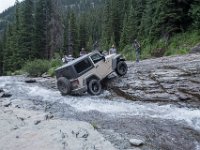 BlackBear-7894 : Ouray