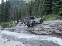 BlackBear-7898 : Ouray