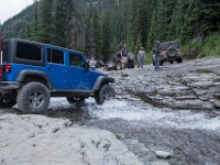 BlackBear-7902 : Ouray