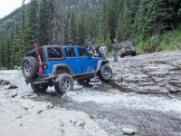 BlackBear-7906 : Ouray