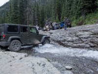 BlackBear-7911 : Ouray