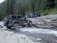 BlackBear-7915 : Ouray