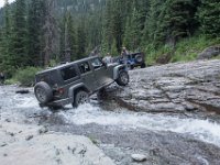 BlackBear-7919 : Ouray