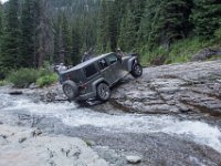 BlackBear-7922 : Ouray