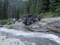 BlackBear-7926 : Ouray