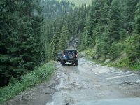 BlackBear-7934 : Ouray