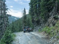 BlackBear-7937 : Ouray