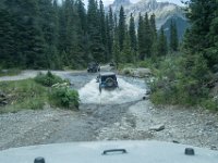 BlackBear-7938 : Ouray