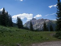 BlackBear-7941 : Ouray