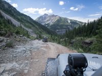 BlackBear-7945 : Ouray