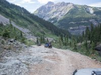 BlackBear-7947 : Ouray