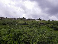 Build-134528 : Ouray