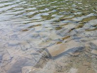 Build-135439 : Ouray