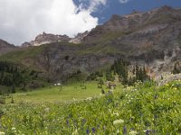 Yankee-Gov-Syd-8147 : Ouray