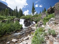 Yankee-Gov-Syd-8184 : Ouray