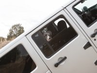 RAM-Apr-3814 : Jeep, RAM