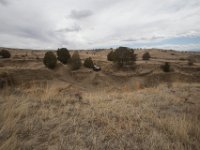 RAM-Apr-6244 : Jeep, RAM