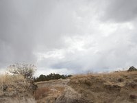 RAM-Apr-6361 : Jeep, RAM