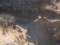 RAM-3331 : Jeep, RAM