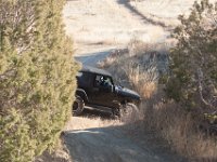 RAM-3362 : Jeep, RAM