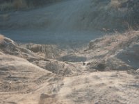 RAM-3397 : Jeep, RAM