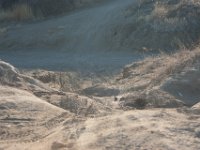 RAM-3398 : Jeep, RAM