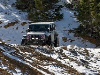 Carey-8662 : 1, Jeep