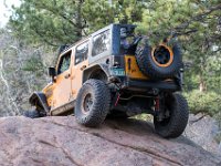 Carey-8690 : Jeep
