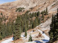 SwanWall-5528 : Ernest, Jeep, Justin