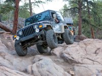 SwanWall-5612 : Jeep, Justin