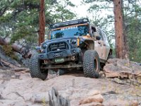 SwanWall-5619 : Ernest, Jeep