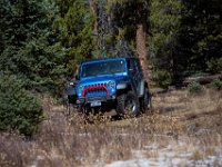 SwanWall-8933 : Carey, Jeep