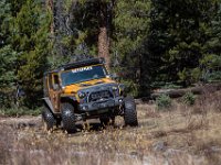SwanWall-8936 : Ernest, Jeep