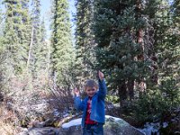 SwanWall-8940 : Family, Jeep, Kiefer