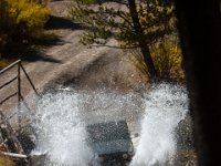 SwanRiver-5365 : Jeep, Swan Lake