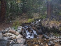 SwanRiver-8656 : Jeep, Swan Lake