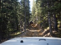 SwanRiver-8660 : Jeep, Swan Lake