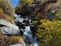 SwanRiver-8688 : Jeep, Swan Lake