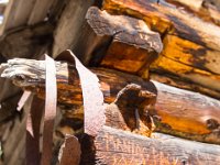 SwanRiver-8724 : Jeep, Swan Lake