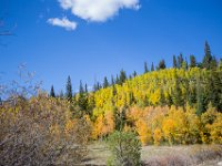 SwanRiver-8729 : Jeep, Swan Lake