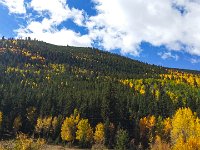 TwinCone-102319 : Fall Color, Jeep, Phone