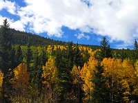 TwinCone-102324 : Fall Color, Jeep, Phone