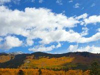 TwinCone-103341 : Fall Color, Jeep, Phone