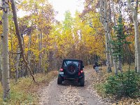 TwinCone-152721 : Fall Color, Jeep, Phone