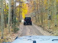 TwinCone-153836 : Fall Color, Jeep, Phone