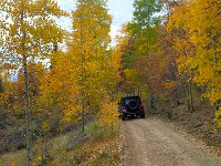TwinCone-153845 : Fall Color, Jeep, Phone