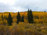 TwinCone-154736 : Fall Color, Jeep, Phone