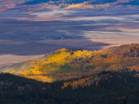TwinCone-5390 : Fall Color, Jeep