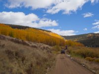 TwinCone-8766 : Fall Color, Jeep