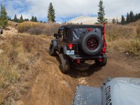 TwinCone-8785 : Fall Color, Jeep